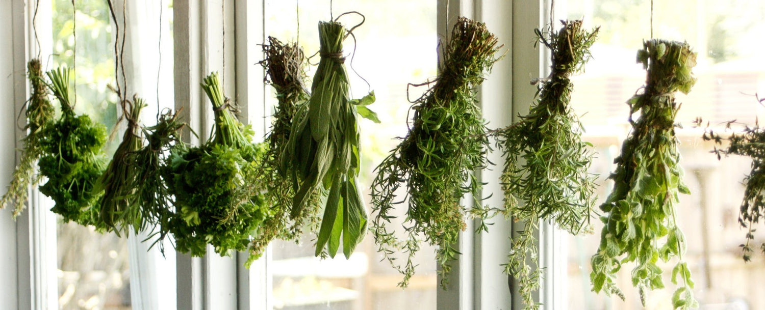 Ervas Secas: Descubra o Poder da Natureza - Universo com Alma ®