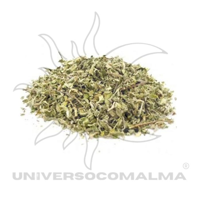 Artemísia - Folha Seca Natural | 50gr