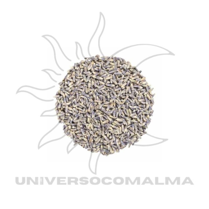 Alfazema (Lavanda) Seca – 50g | Purificação e Equilíbrio Energético - Universo com Alma ®