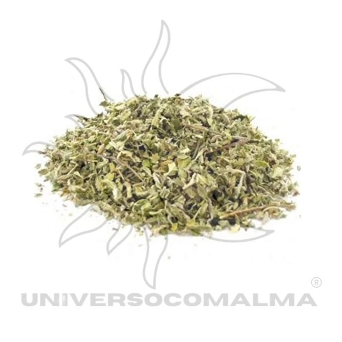 Artemísia - Folha Seca Natural | 50gr