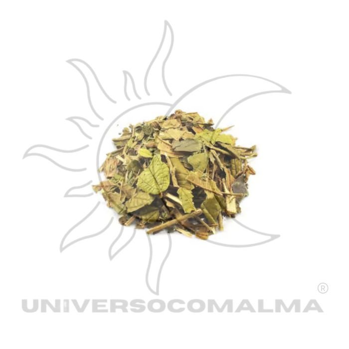 Canela de Velho - Folha Seca Natural | 50gr