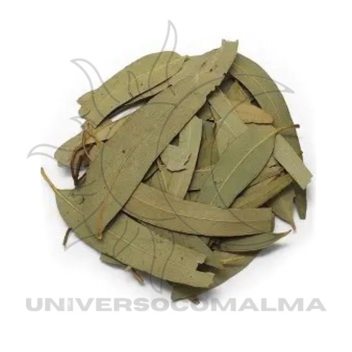 Eucalipto - 50g de Frescor e Renovação - Universo com Alma ®