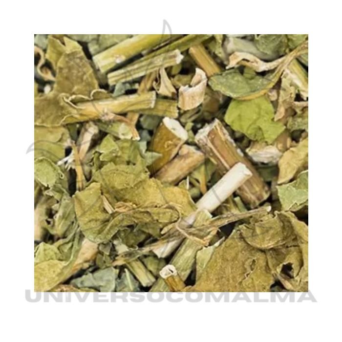 Guinea-Kräuter 50 g – spiritueller und energetischer Schutz