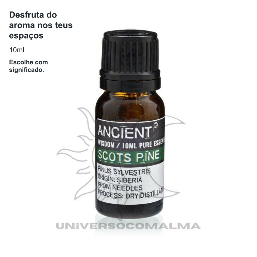 Óleo Essencial de Pinho Silvestre 10ml - Purificação e Energia — benefícios, utilização e características