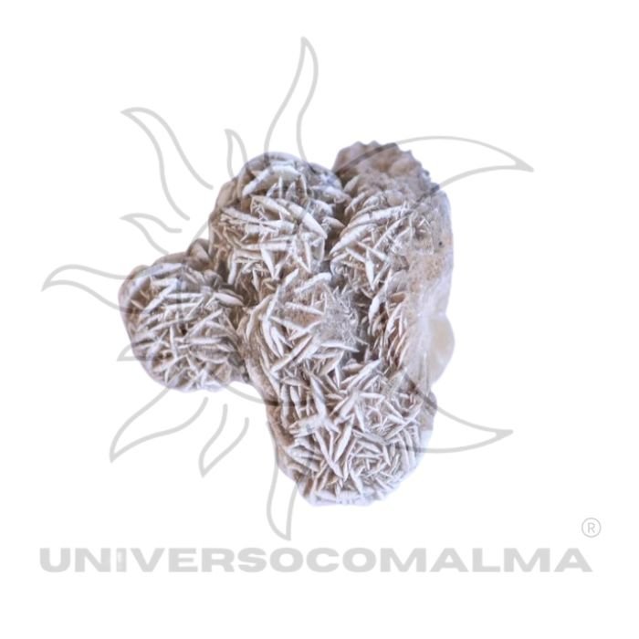 Rosa do Deserto - Bruto - Transformação e Clareza Mental