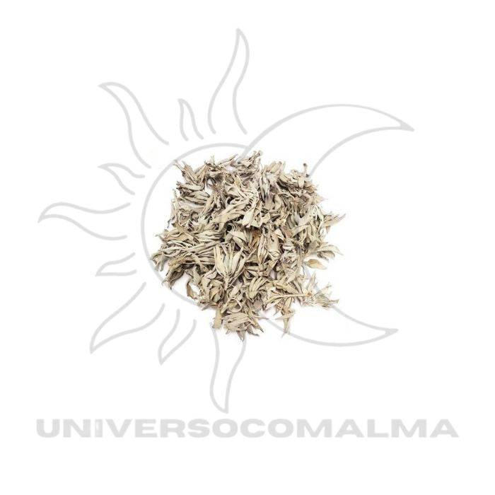 Sálvia Branca em Erva Seca - 50gr - Universo com Alma ®