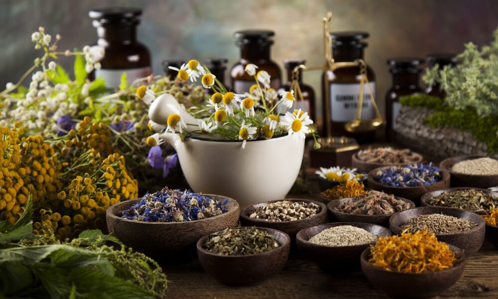 🌿 Aromaterapia: O Caminho para o Equilíbrio e Bem-Estar 🌼
