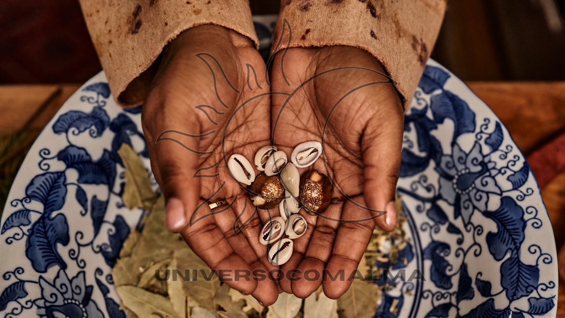 Jogo de Búzios: O Que É, Como Funciona e O Que Podes Descobrir