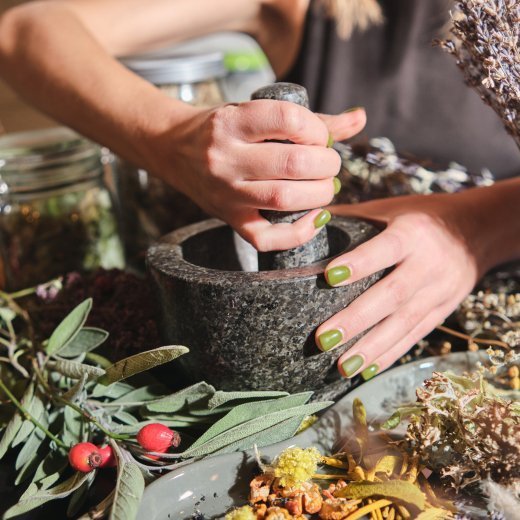 Fitoterapia Tradicional: Descubra o Poder das Plantas Medicinais.