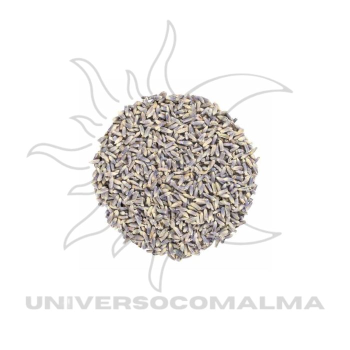 Alfazema (Lavanda) Seca – 50g | Purificação e Equilíbrio Energético