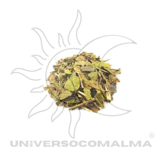 Canela de Velho - Folha Seca Natural | 50gr