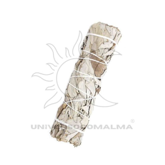 Tocha de Sálvia Branca  - 14cm