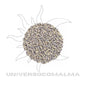 Alfazema (Lavanda) Seca – 50g | Purificação e Equilíbrio Energético - Universo com Alma ®