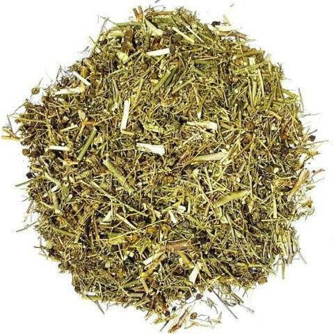 Arruda - Planta 50GR - Universo com Alma ®