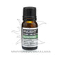 Título: Óleo Essencial de Alecrim 10ml - Estimulante e Revitalizante - Universo com Alma ®