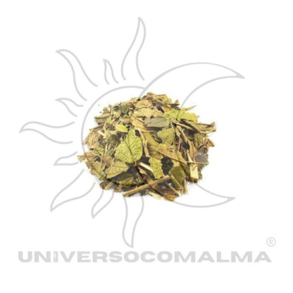 Folhas secas verdes e amarelas