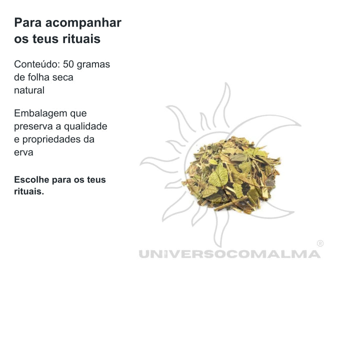 Canela de Velho - Erva Seca Natural | 50gr — benefícios, utilização e características