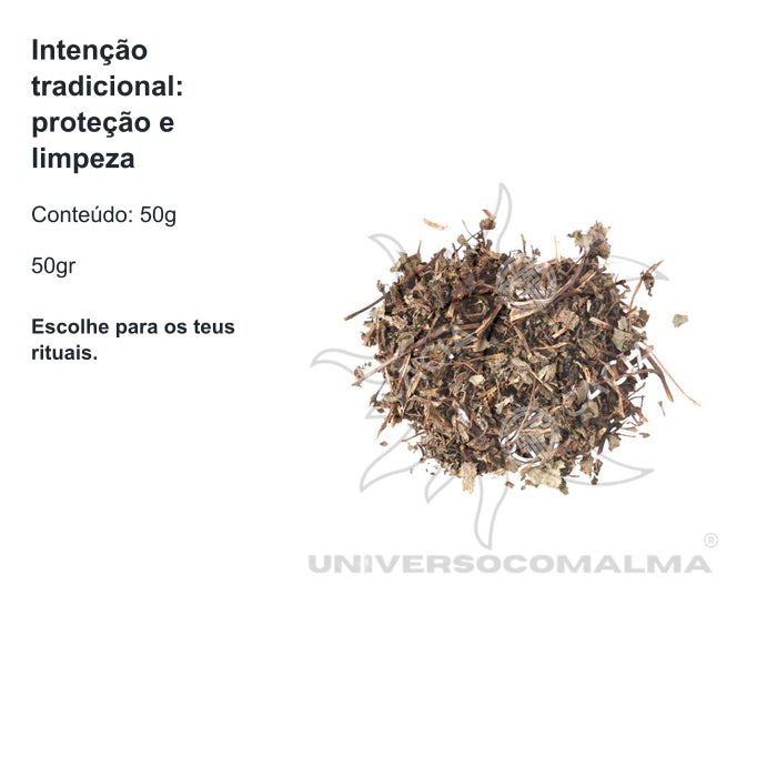 Erva Bicho - Erva Seca - 50gr — benefícios, utilização e características