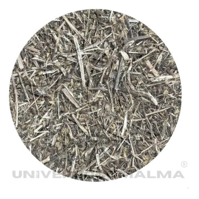 Erva Carrapicho seca 50g para banhos espirituais e limpeza energética.