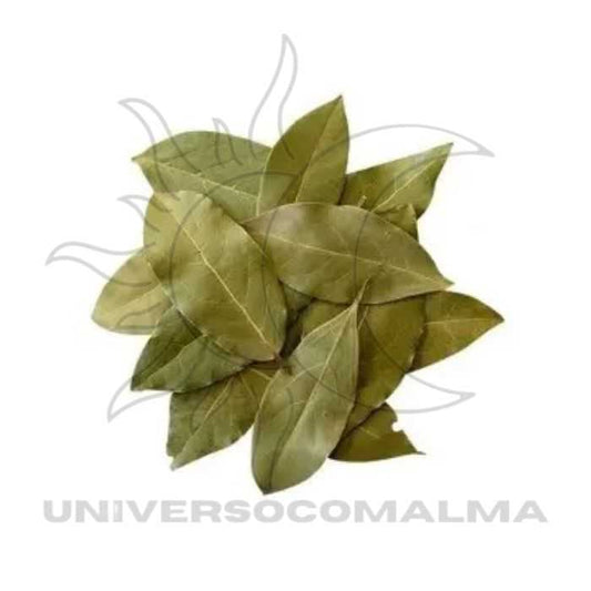 Folhas secas de louro dispostas em círculo, usadas em rituais de proteção e prosperidade. Produto espiritual de 50gr da linha religiosa.