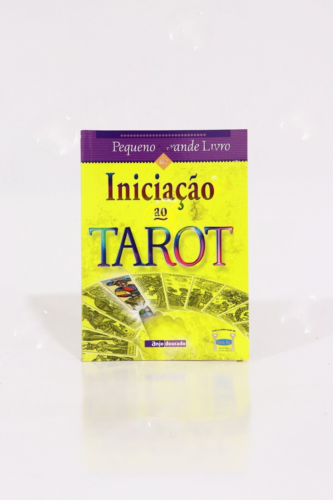 O Pequeno Grande Livro de Iniciação ao Tarot