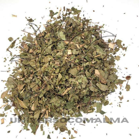 Pitanga - Folhas Sagradas de Proteção e Purificação - 2gr