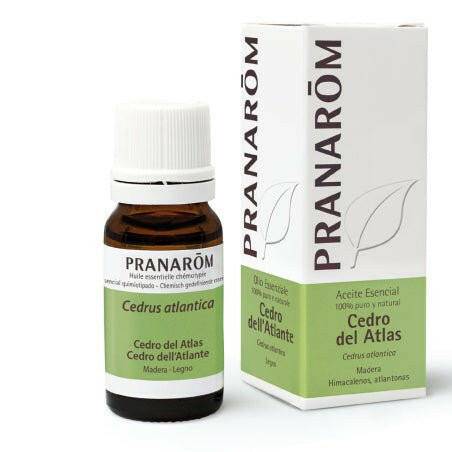 🌲 Óleo Essencial de Cedro do Atlas da Pranarom - 10ml 🌲 - Universo com Alma ®