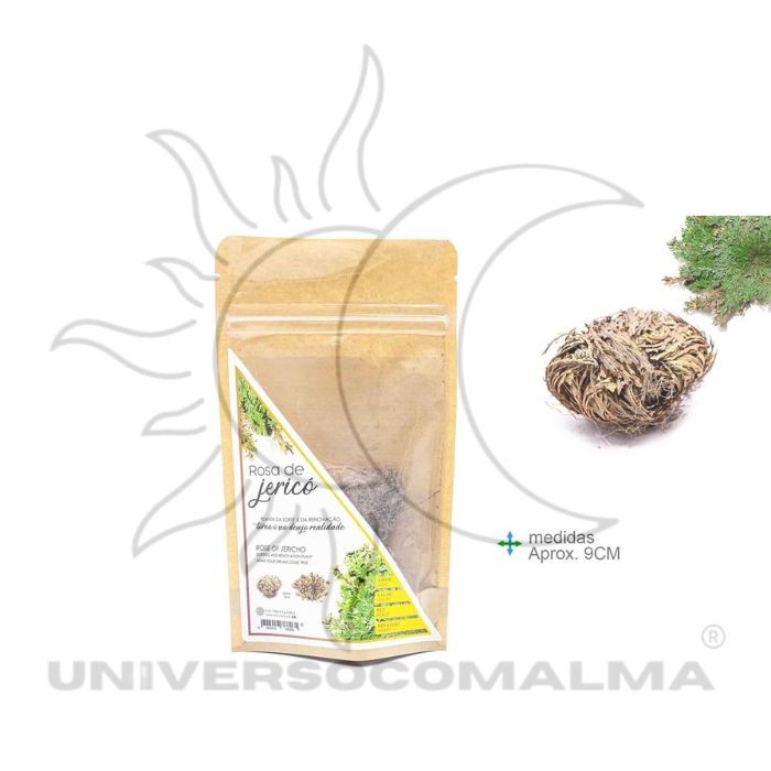 Rosa de Jericó natural aproximadamente 9cm para prosperidade e proteção espiritual