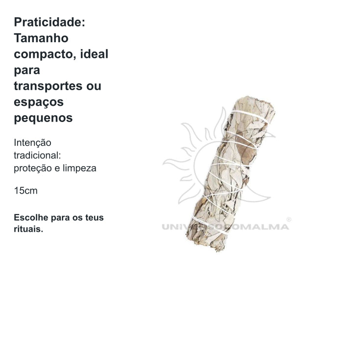 Tocha de Sálvia Branca  - 15cm — benefícios, utilização e características