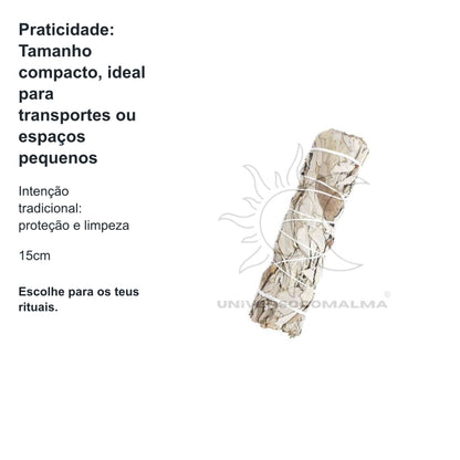 Tocha de Sálvia Branca  - 15cm — benefícios, utilização e características